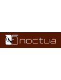 Noctua